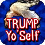 Trump Yo'Self! Make Your Hair Great Again!